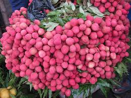 Litchi cultivation highly successful in Bijoynagar