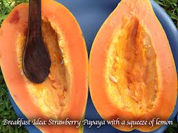 Many health benefits of papaya