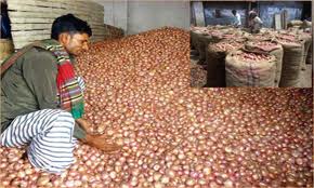 Huge onion harvest in Faridpur