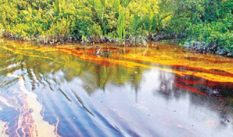 India on alert after Sunderbans oil spill