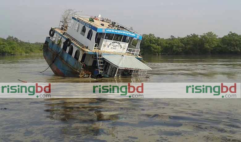 375 Sundarbans species at risk of extinction from oil spill