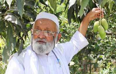 Mango cultivator names new hydrid after Narendra Modi