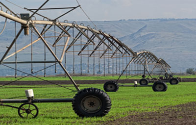 French corn farmers turn to drip irrigation