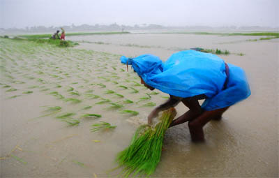 Monsoon may hit Kerala by May-end