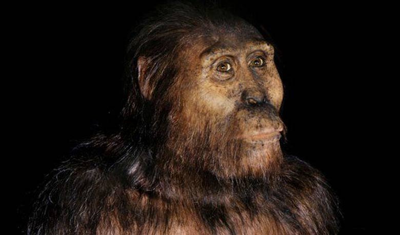 `New species` of ancient human found in Ethiopia