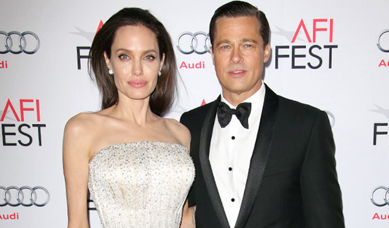 Pitt, Jolie wanted `a dozen` kids