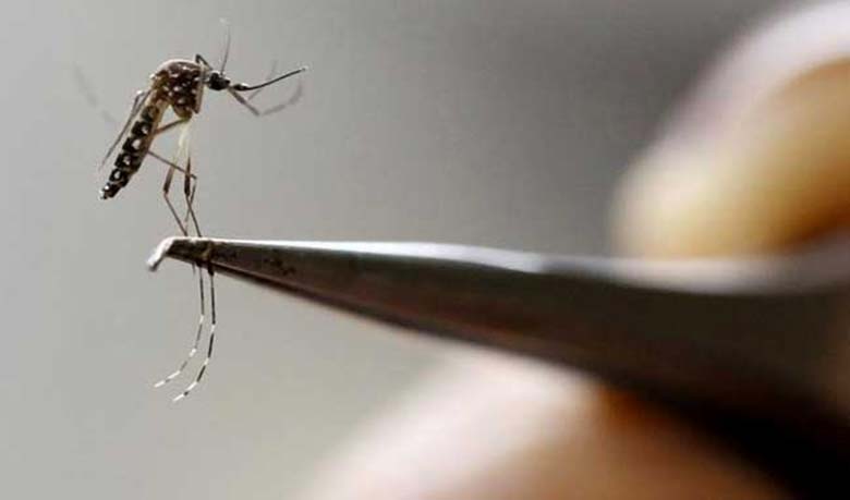 China confirms first case of Zika virus