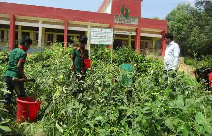 Young students grow vegetables in school gardens