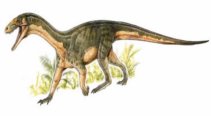 Early dinosaur relative walked like a croc
