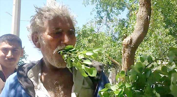 Pakistan man eats leaves for 25 years, never falls ill