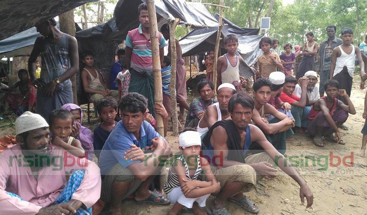 Govt starts biometric registration of Rohingyas