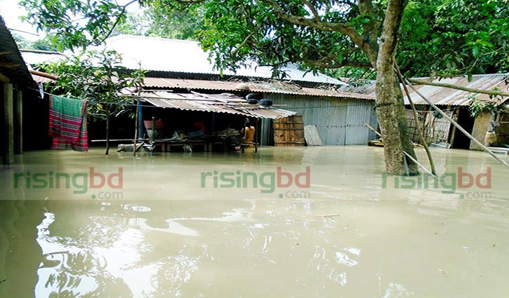 5,37,000 families incur to losses by flood in Rangpur