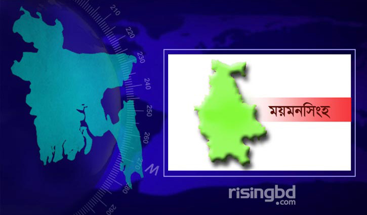 Three killed in Mymensingh road crash