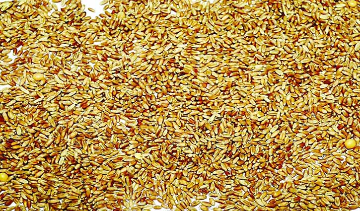 Govt to import 2 lakh tonnes of wheat from Russia
