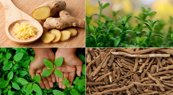 7 Ayurvedic superfoods you should eat every day