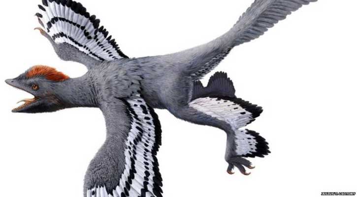 'Best ever' view of dinosaur revealed