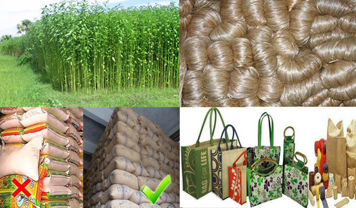 Restoring good days of jute is possible