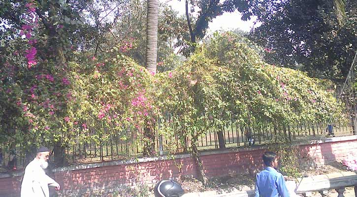 Rossiya birinchi marta jinsiy olatni koradi XXX ota qizi bilan jinsiy aloqada bolganini onlayn tomosha qiling