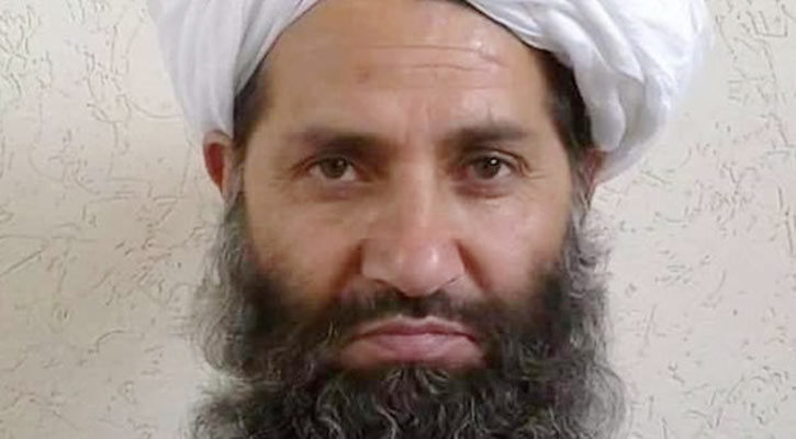 Taliban leader urges planting of more trees
