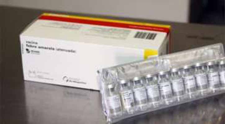 Brazil orders 11.5 million yellow fever vaccine doses