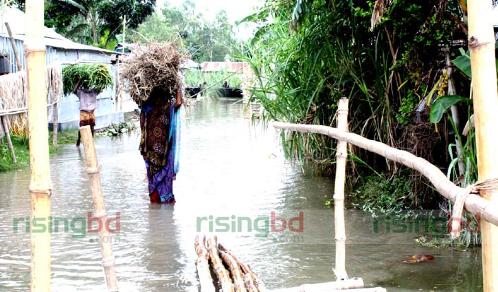 Jamuna flows 61 centimetres above danger level