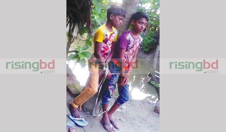Two children tied to tree, tortured in Khulna