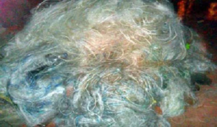 Illegal fishing nets worth Tk34cr seized