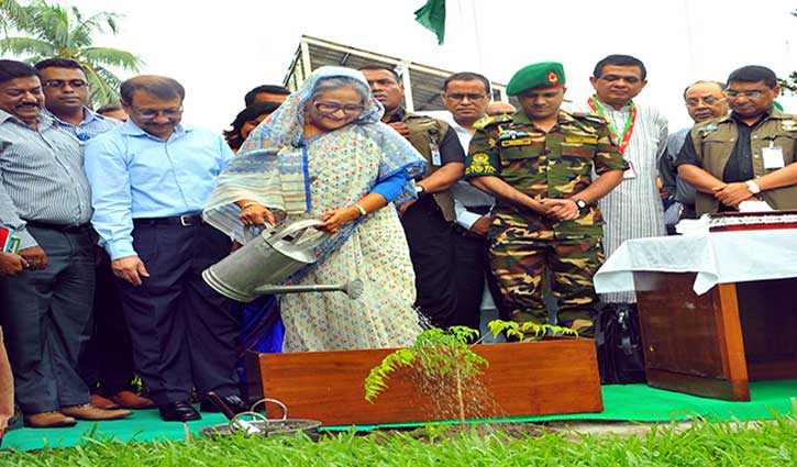  PM plants saplings on her office premises
