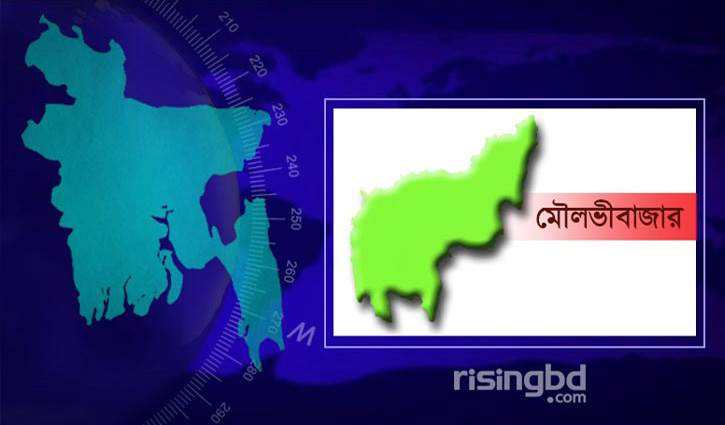 Man killed by brother in Moulvibazar