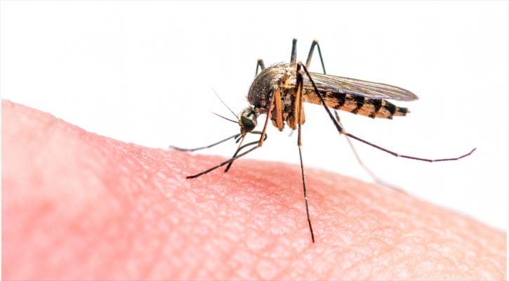 Drone strikes against mosquitoes in Ahmedabad