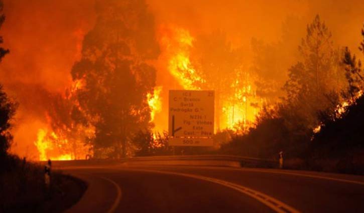 At least 25 killed in Portugal forest fire