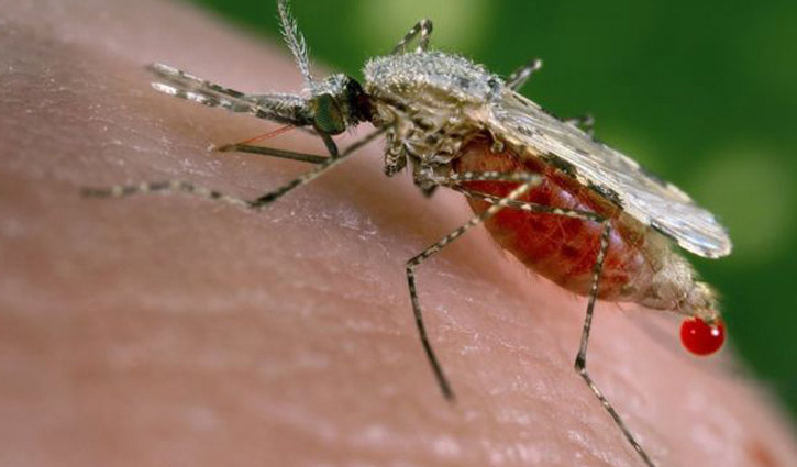 Alarm as super malaria spreads in South East Asia