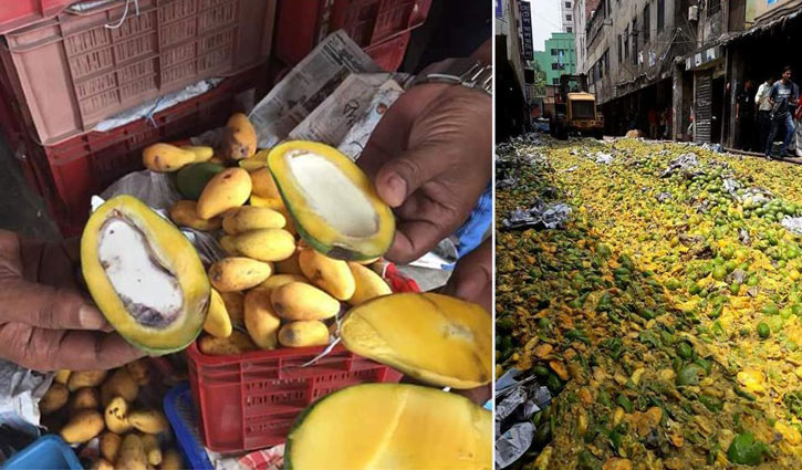 400 maunds of mangoes destroyed in capital