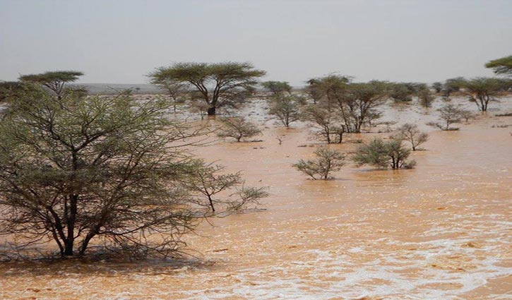 Over 50 killed in Somaliland cyclone