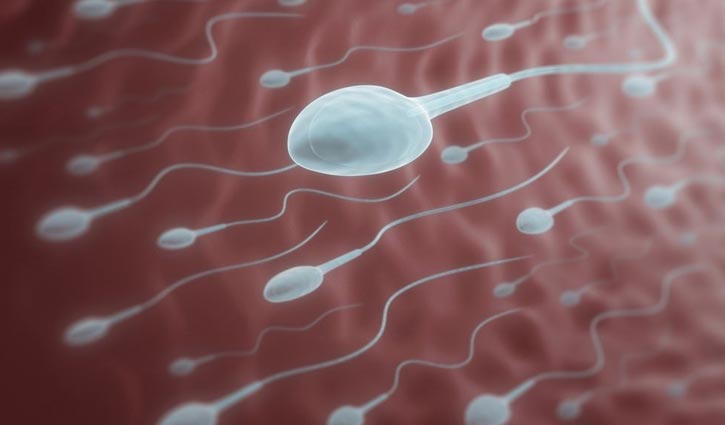 Sariqlar spermani yutadi