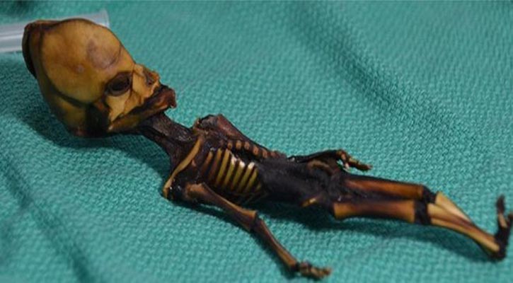 Origin of six-inch mummy confirmed