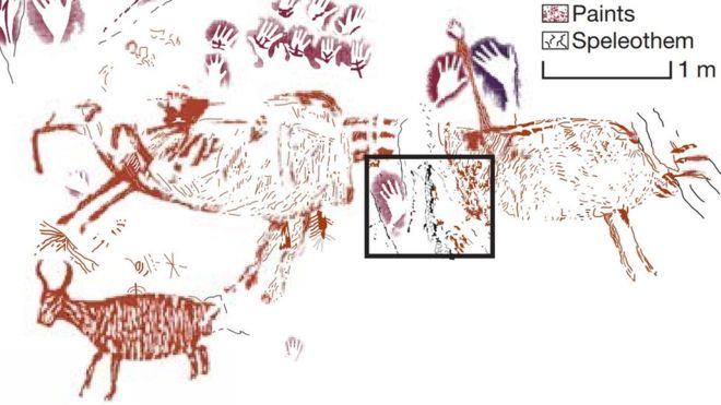 Oldest animal painting discovered in Borneo