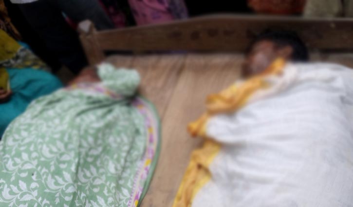 Mother, son electrocuted in Chuadanga