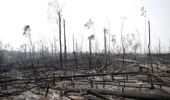 Brazil sends army to help tackle Amazon blazes