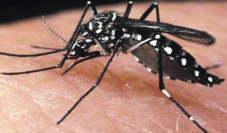 Another dies of dengue