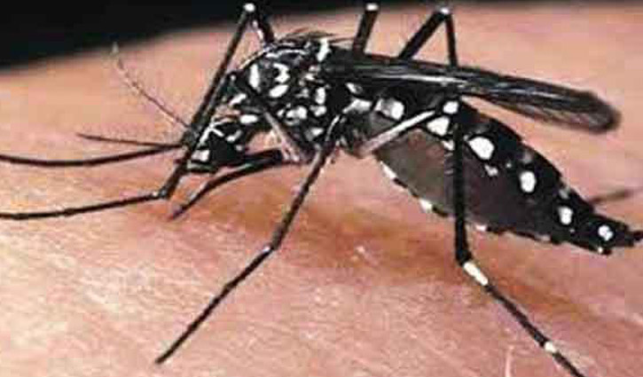 Int’l expert team coming in Dhaka to control Aedes mosquitoes