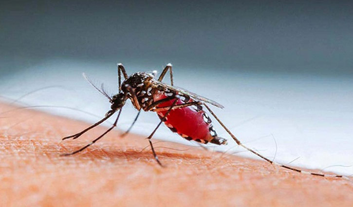 One dies of dengue in capital