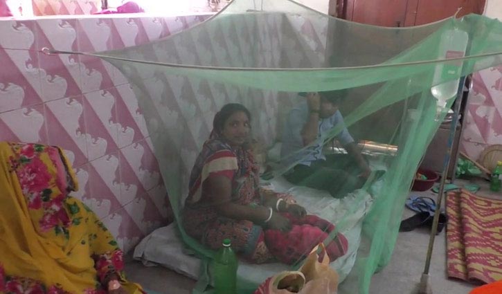 34 dengue patients undergoing treatment in Jhenaidah