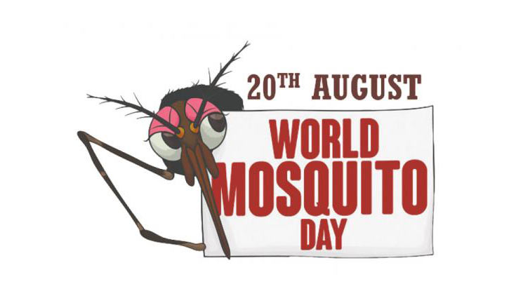 World Mosquito Day today