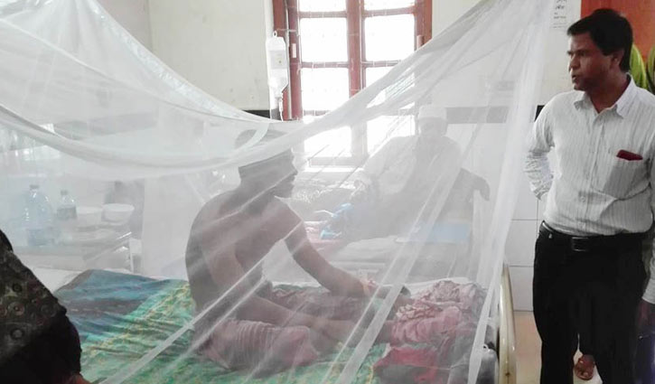 21 new dengue patients in Satkhira