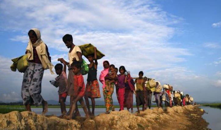 TIB finds no possibility to return Rohingyas