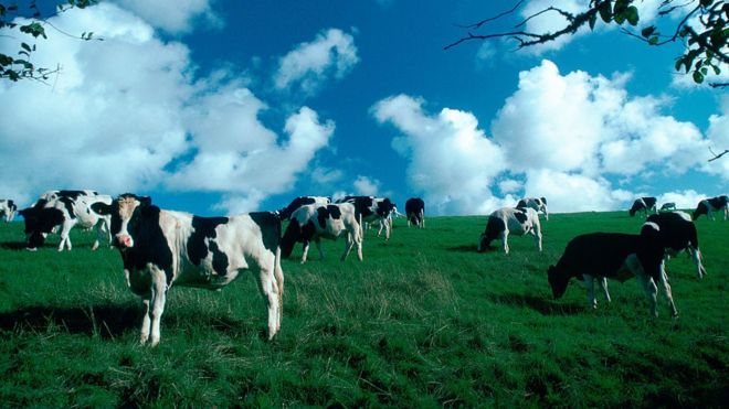 Pledge to cut emissions from dairy farms