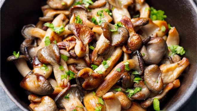Mushrooms may reduce the risk of mild brain decline