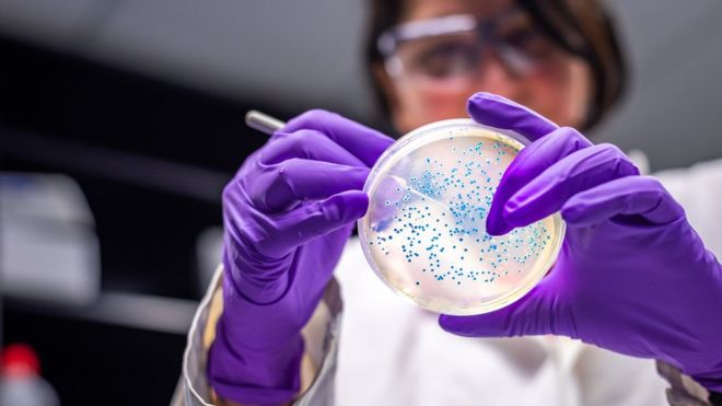Drug-resistant superbug spreading in Europe's hospitals