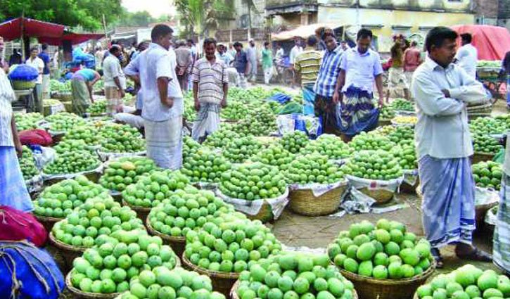 Monitor fruit markets to prevent use of chemicals: HC